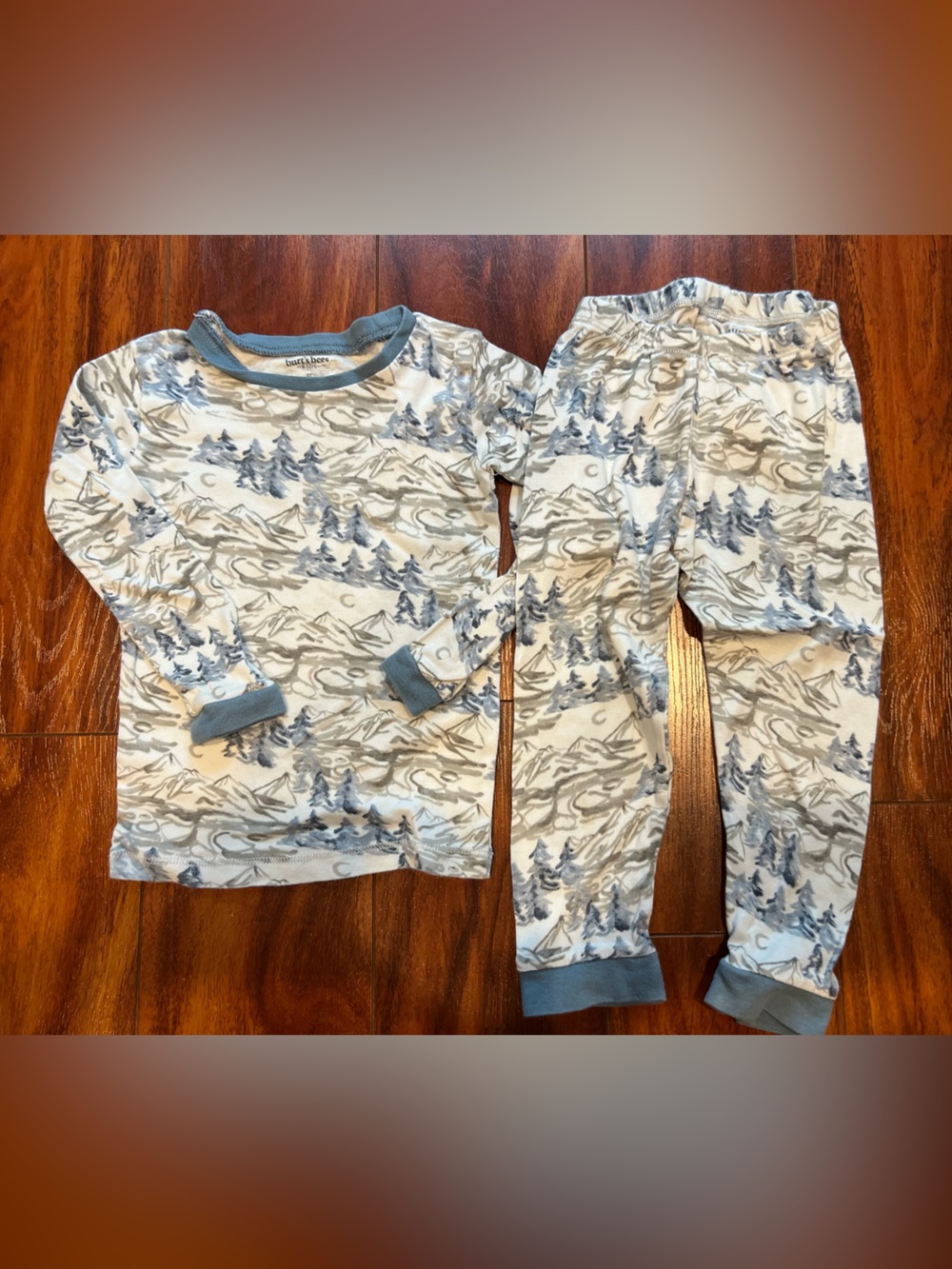 Burts Bees Kids Pjs